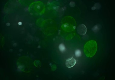 kopya alanı ile bokeh ışıkları dijital arka plan