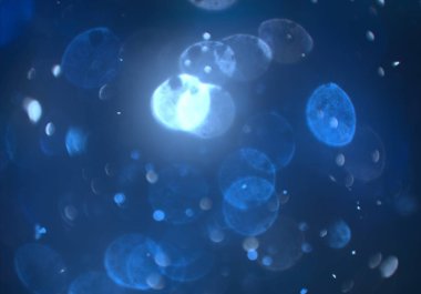 soyut arkaplan, kopyalama alanı