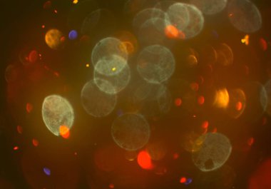 metin veya görüntü için alan ile bokeh arka plan