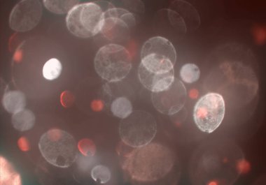 bokeh ile sanat soyut arka plan 