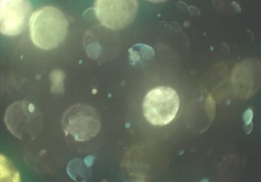 bokeh ışıkları ile soyut duvar kağıdı