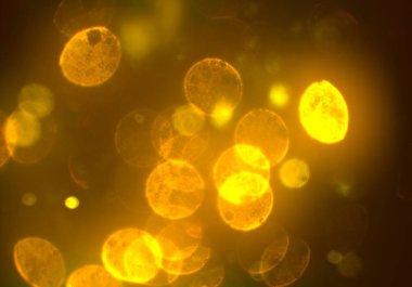 soyut bulanık bokeh arka plan, kopyalama alanı 