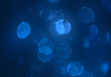 bokeh ve metin için alan ile soyut duvar kağıdı