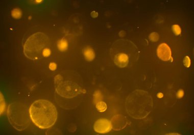 metin veya görüntü için alan ile bokeh arka plan