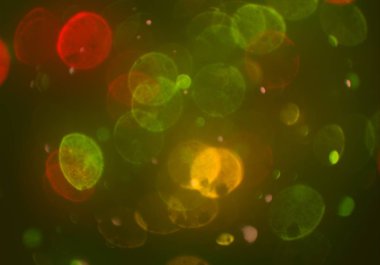 bokeh ile sanat soyut arka plan 