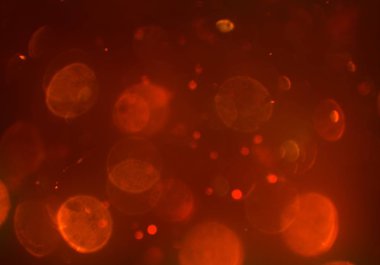 Bokeh ile soyut arkaplan