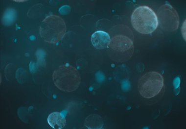 mavi ve beyaz arkaplan