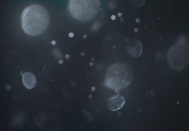 metin veya görüntü için alan ile bokeh arka plan