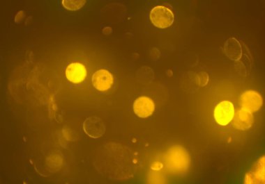 bokeh abstact arka plan ile galaksi