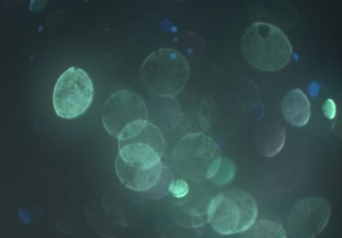 metin veya görüntü için alan ile bokeh arka plan