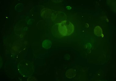 bokeh ile sanat soyut arka plan 