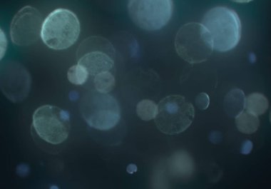 mavi ve beyaz arkaplan