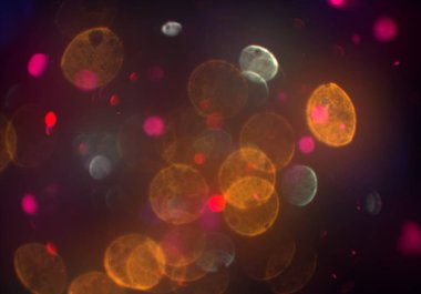 metin veya görüntü için alan ile bokeh arka plan