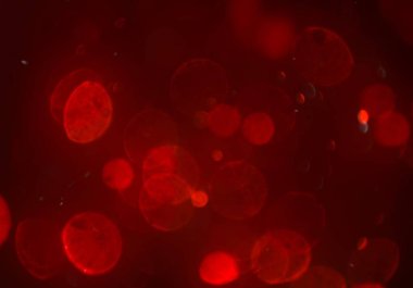 bokeh ile sanat soyut arka plan 