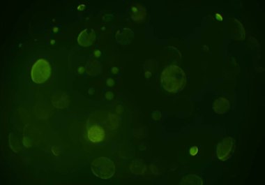 Bokeh ile soyut arkaplan