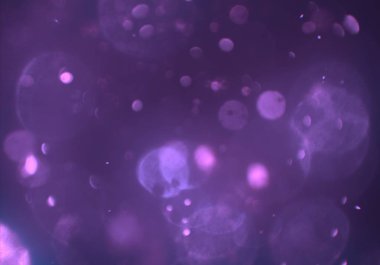 Tasarımınız için parlak bokeh arka plan