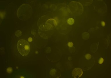 soyut arkaplan, kopyalama alanı