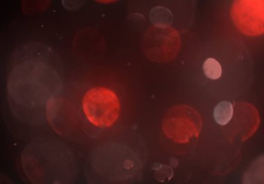 soyut arkaplan, kopyalama alanı