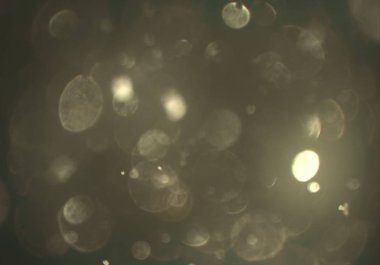 soyut bulanık bokeh arka plan, kopyalama alanı  