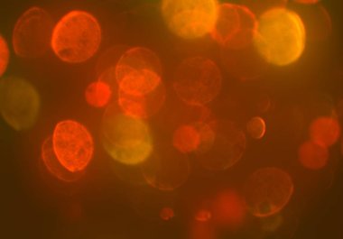 bokeh abstact arka plan ile galaksi