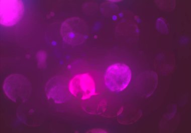 metin veya görüntü için alan ile bokeh arka plan