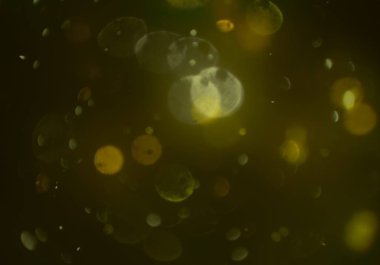 soyut bulanık bokeh arka plan, kopyalama alanı  