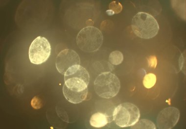 Bokeh ile soyut arkaplan