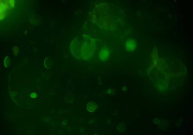 bokeh ile sanat soyut arka plan 