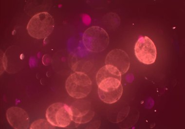 bokeh ile sanat soyut arka plan 