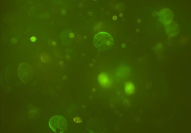 parlak bokeh ışıkları ile dijital duvar kağıdı 