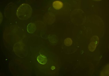 parlak bokeh ışıkları ile dijital duvar kağıdı 