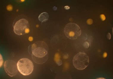 bokeh ile sanat soyut arka plan 