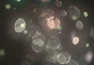 bokeh ve metin için alan ile soyut duvar kağıdı