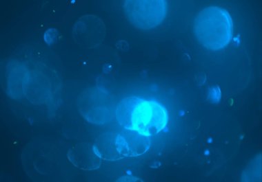 parlak bokeh ışıkları ile dijital duvar kağıdı 