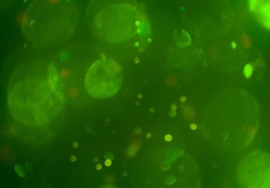 bokeh ile sanat soyut arka plan 