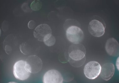 bokeh ile sanat soyut arka plan 