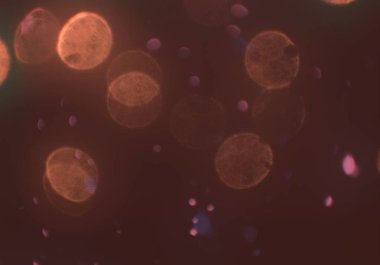 bokeh ışıkları ile soyut duvar kağıdı