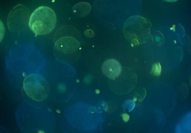 bokeh ve metin için alan ile soyut duvar kağıdı