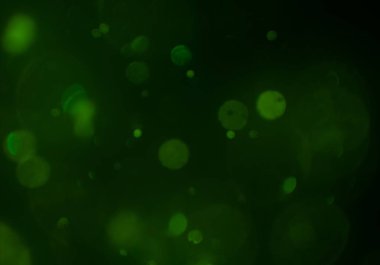 Tasarımınız için parlak bokeh arka plan