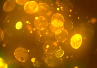 bokeh abstact arka plan ile galaksi