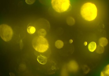 bokeh ile sanat soyut arka plan 