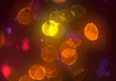 bokeh ışıkları ile soyut duvar kağıdı