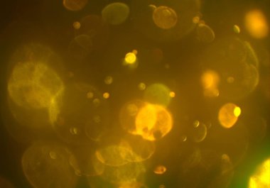 kopya alanı ile bokeh ışıkları dijital arka plan