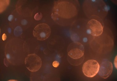 metin veya görüntü için alan ile bokeh arka plan