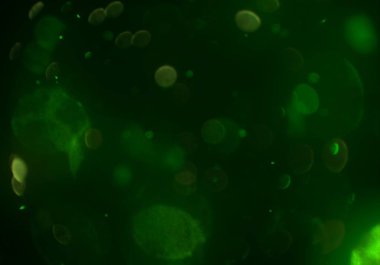 metin veya görüntü için alan ile bokeh arka plan