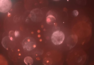 bokeh ile sanat soyut arka plan 