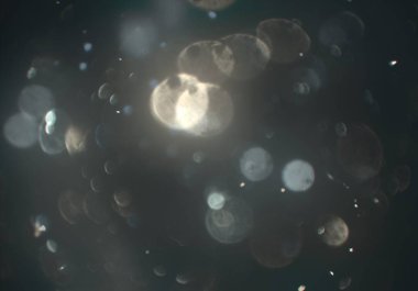 Bokeh ile soyut arkaplan