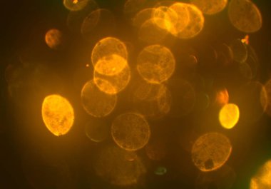 Bokeh ile soyut arkaplan