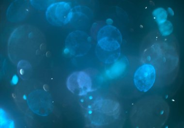 mavi ve beyaz arkaplan