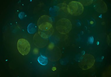 bokeh ve metin için alan ile soyut duvar kağıdı